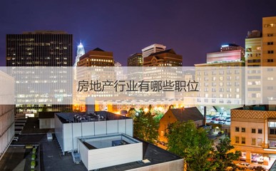 南寧振寧房地產(chǎn)概況與房地產(chǎn)銷售、策劃代理入門指南