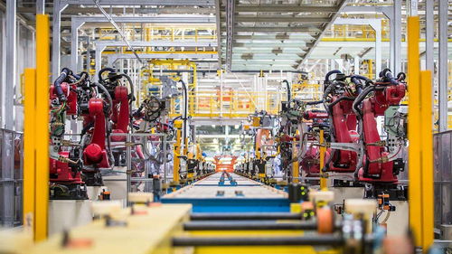 是淘汰，還是新生 機(jī)器人時(shí)代的就業(yè)危機(jī)與人工智能基礎(chǔ)軟件開發(fā)的機(jī)遇