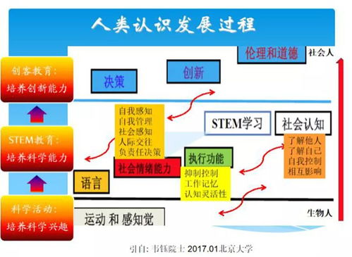 人工智能的浪潮 基礎軟件開發及其在科學教育中的革新應用