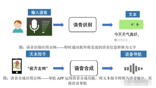 深耕人工智能上游，語音數據龍頭引領產業生態發展
